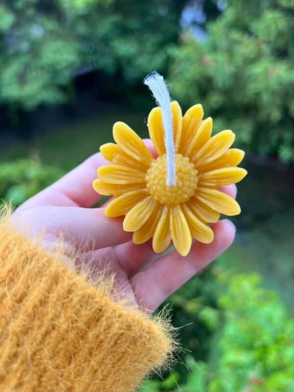 Beeswax Daisy Candles - Image 2