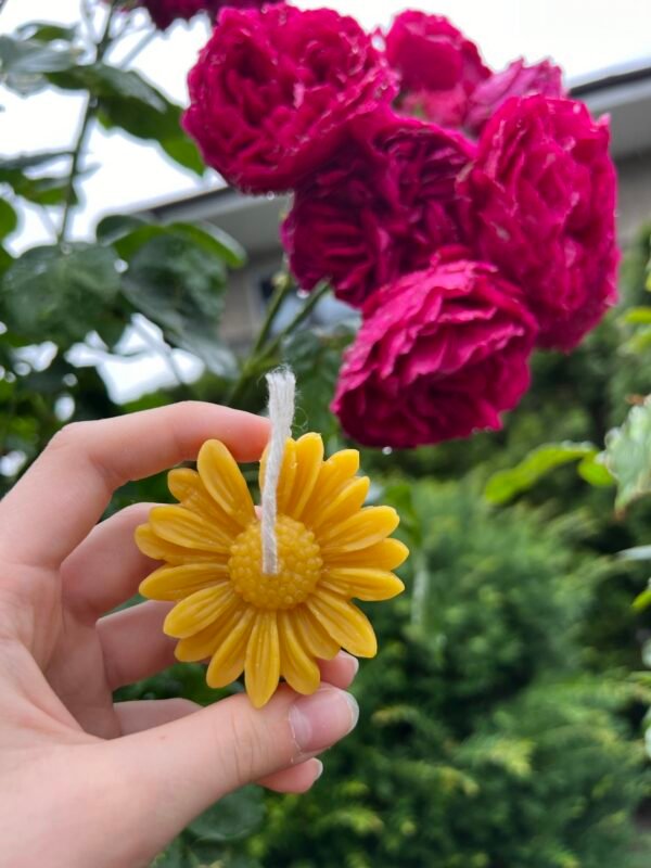 Beeswax Daisy Candles - Image 3