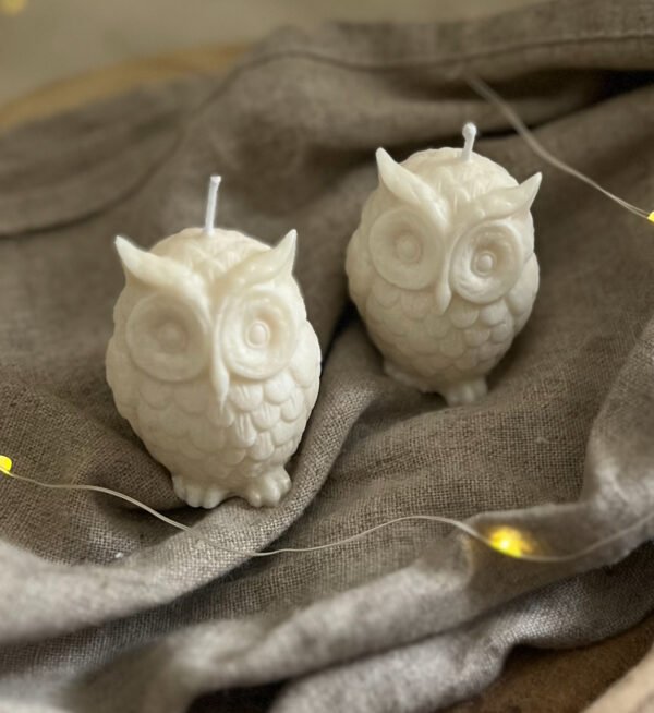 Unique Natural Soy Owl Candle