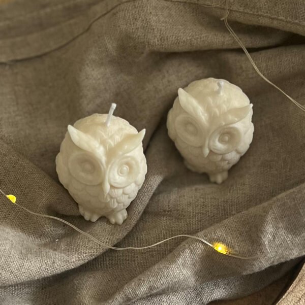 Unique Natural Soy Owl Candle - Image 2