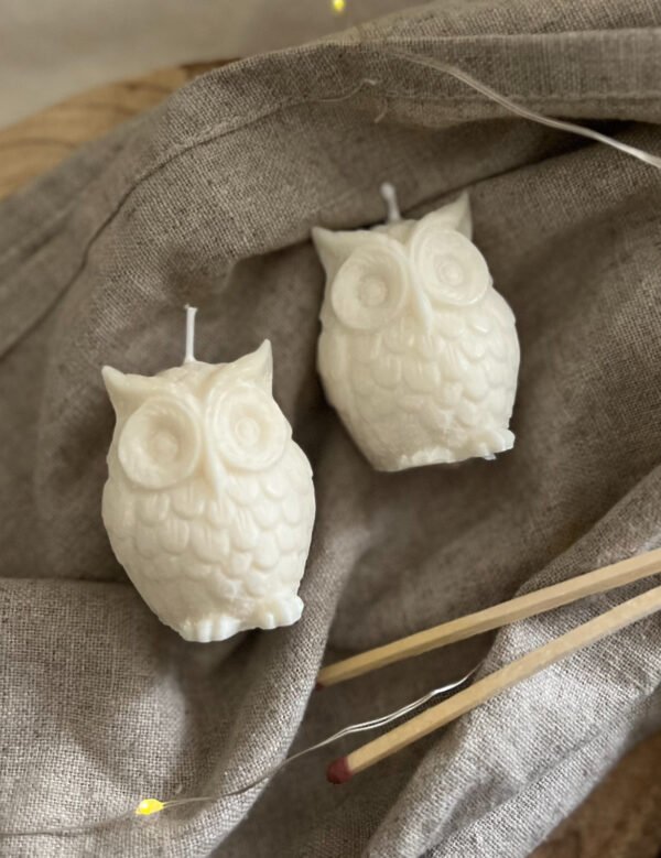 Unique Natural Soy Owl Candle - Image 3