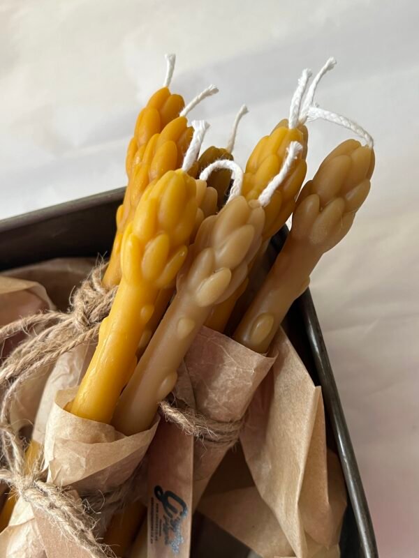 3x Piece Beeswax Farm Style Asparagus Candles - Image 2