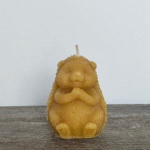 1x HEDGEHOG Candle