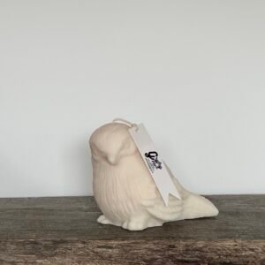 BIRD candle