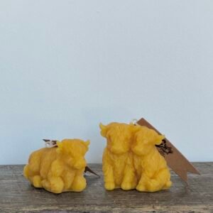 HIGHLAND COW candle