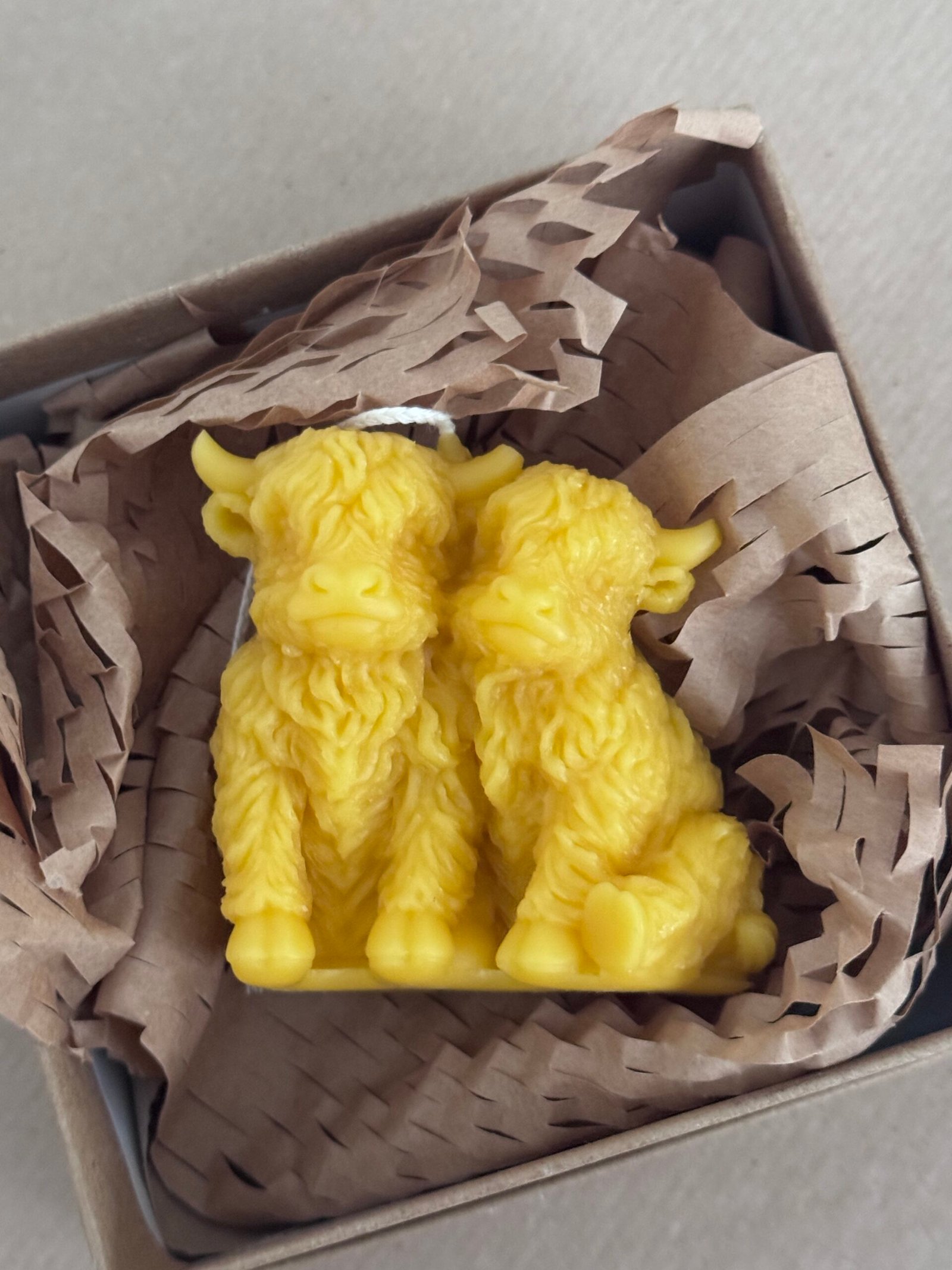 HIGHLAND COWS candle - Image 2