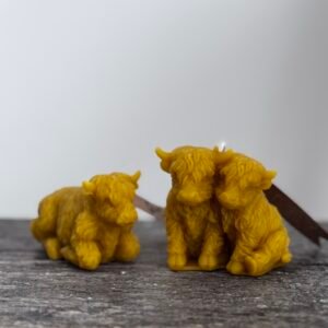 HIGHLAND COW candle