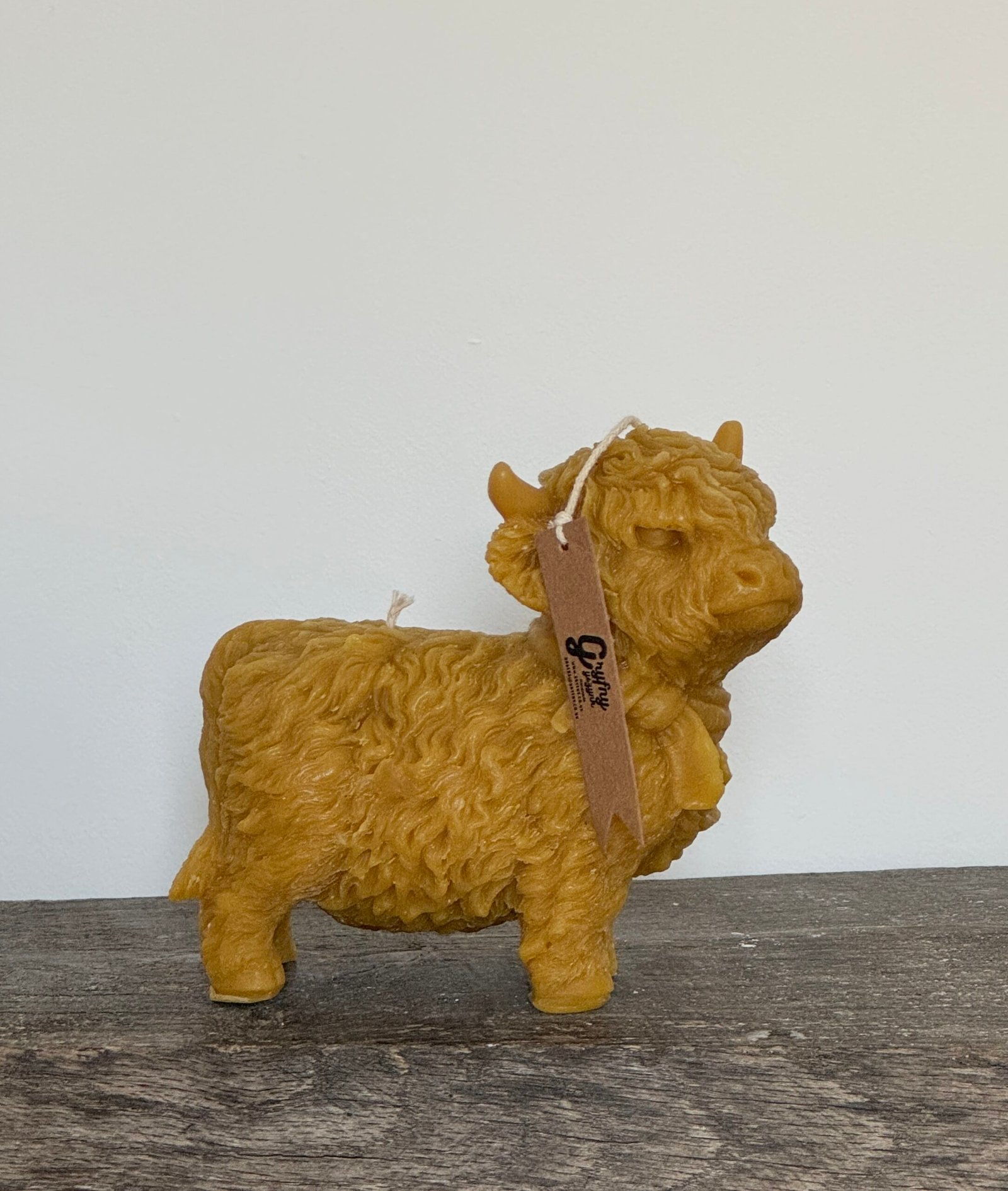 1x HIGHLAND COW candle
