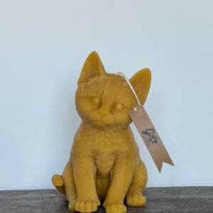 CAT candle