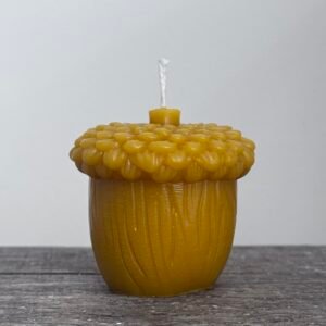 WOODLAND ACORN candle