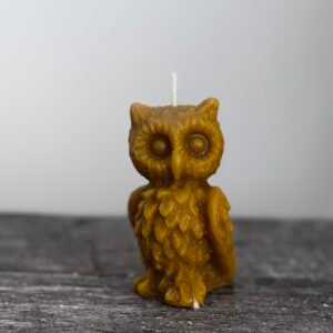 OWL candle