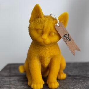 1X XL CAT candle