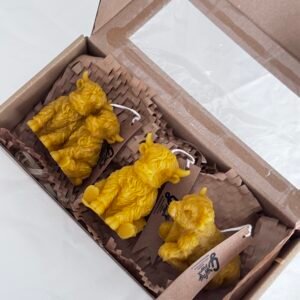 HIGHLAND COW candle gift set