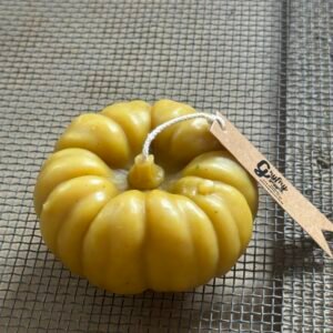 1x PUMPKIN candles