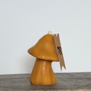 1X THE FOREST MUSHROOM