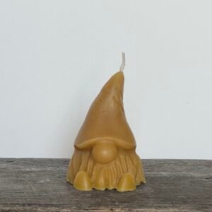 THE GARDEN GNOME