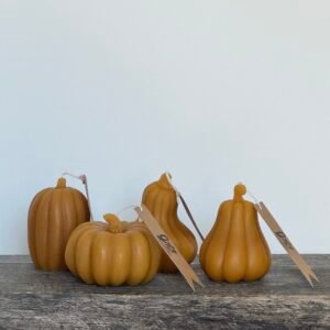 1X THE SEASONAL SQUASHES